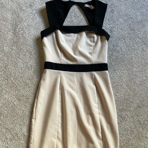 Fitted business casual dress